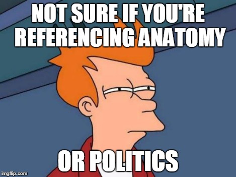 Futurama Fry Meme | NOT SURE IF YOU'RE REFERENCING ANATOMY OR POLITICS | image tagged in memes,futurama fry | made w/ Imgflip meme maker