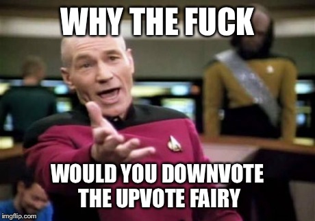 Picard Wtf Meme | WHY THE F**K WOULD YOU DOWNVOTE THE UPVOTE FAIRY | image tagged in memes,picard wtf | made w/ Imgflip meme maker