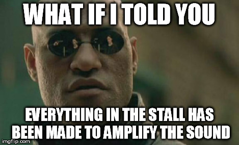 Matrix Morpheus Meme | WHAT IF I TOLD YOU EVERYTHING IN THE STALL HAS BEEN MADE TO AMPLIFY THE SOUND | image tagged in memes,matrix morpheus | made w/ Imgflip meme maker