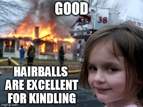 Disaster Girl Meme | GOOD HAIRBALLS ARE EXCELLENT FOR KINDLING | image tagged in memes,disaster girl | made w/ Imgflip meme maker