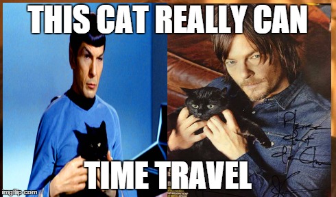 One Does Not Simply Meme | THIS CAT REALLY CAN TIME TRAVEL | image tagged in memes,one does not simply | made w/ Imgflip meme maker