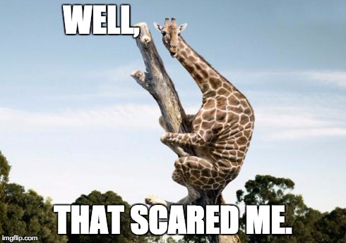 Scared Giraffe | WELL, THAT SCARED ME. | image tagged in scared giraffe | made w/ Imgflip meme maker