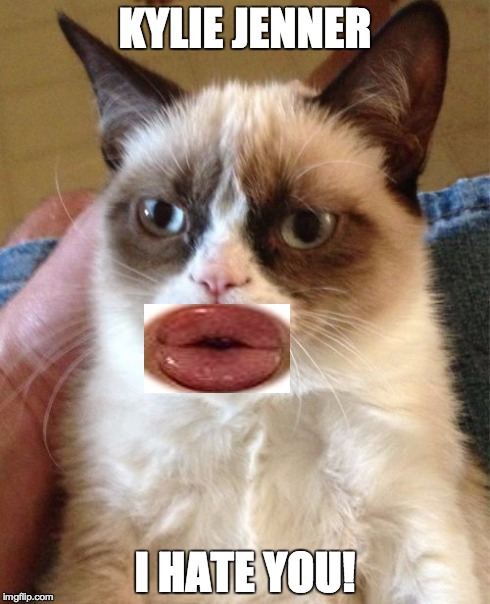 Grumpy Cat | KYLIE JENNER I HATE YOU! | image tagged in memes,grumpy cat | made w/ Imgflip meme maker