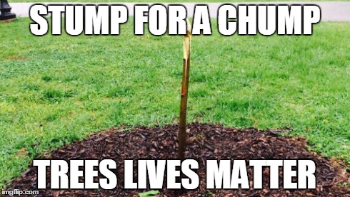 STUMP FOR A CHUMP TREES LIVES MATTER | made w/ Imgflip meme maker