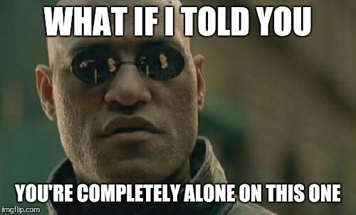 Matrix Morpheus Meme | WHAT IF I TOLD YOU YOU'RE COMPLETELY ALONE ON THIS ONE | image tagged in memes,matrix morpheus | made w/ Imgflip meme maker