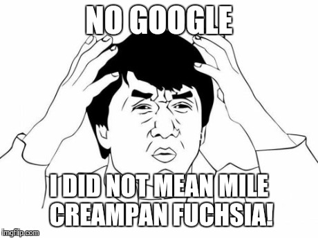 What I meant was "mile creampan fuchsia!" WAIT, NO! WTF! | NO GOOGLE I DID NOT MEAN MILE CREAMPAN FUCHSIA! | image tagged in memes,jackie chan wtf | made w/ Imgflip meme maker