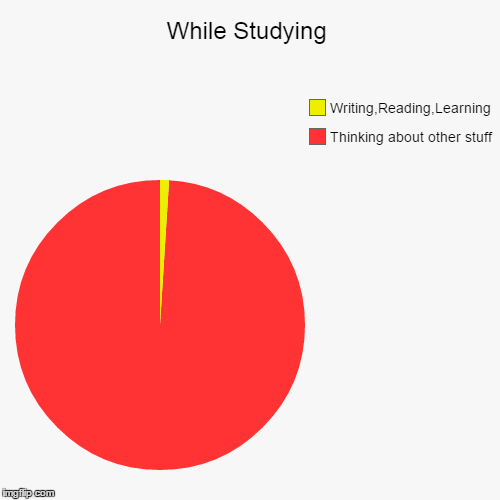 While studying.  | image tagged in funny,pie charts | made w/ Imgflip chart maker