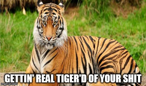 image tagged in tiger'd tiger | made w/ Imgflip meme maker