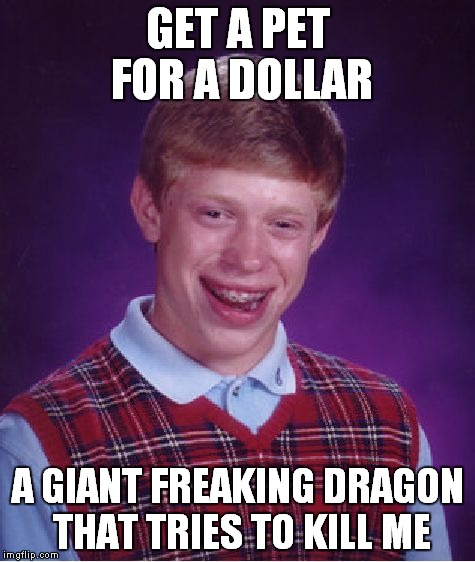 never get a pet for a dollar kids | GET A PET FOR A DOLLAR A GIANT FREAKING DRAGON THAT TRIES TO KILL ME | image tagged in memes,bad luck brian | made w/ Imgflip meme maker