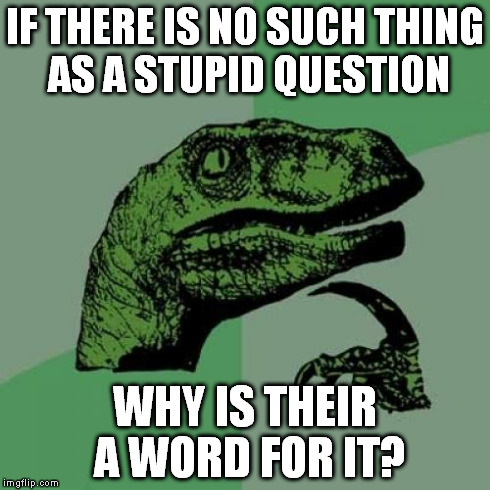 Why? | IF THERE IS NO SUCH THING AS A STUPID QUESTION WHY IS THEIR A WORD FOR IT? | image tagged in memes,philosoraptor | made w/ Imgflip meme maker