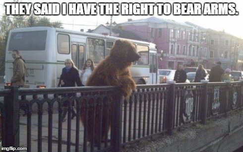 City Bear | THEY SAID I HAVE THE RIGHT TO BEAR ARMS. | image tagged in memes,city bear | made w/ Imgflip meme maker