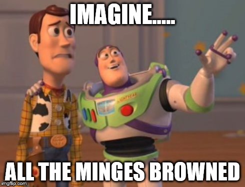 X, X Everywhere Meme | IMAGINE..... ALL THE MINGES BROWNED | image tagged in memes,x x everywhere | made w/ Imgflip meme maker