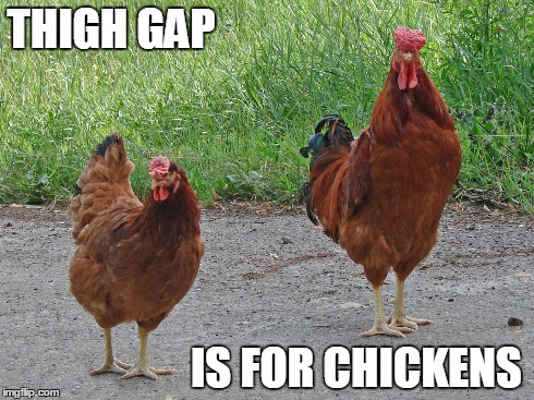 Thigh Gap is for Chickens | THIGH GAP IS FOR CHICKENS | image tagged in thigh gap,chicken | made w/ Imgflip meme maker