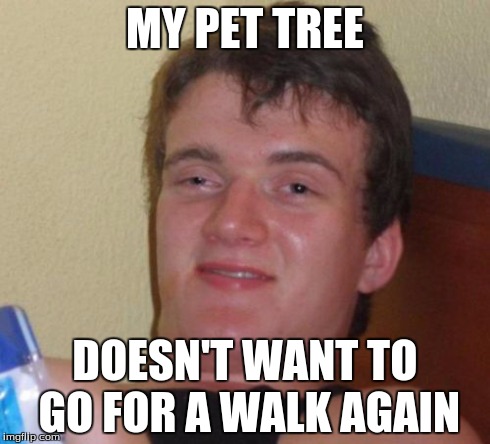 10 Guy | MY PET TREE DOESN'T WANT TO GO FOR A WALK AGAIN | image tagged in memes,10 guy | made w/ Imgflip meme maker