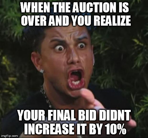 DJ Pauly D Meme | WHEN THE AUCTION IS OVER AND YOU REALIZE YOUR FINAL BID DIDNT INCREASE IT BY 10% | image tagged in memes,dj pauly d | made w/ Imgflip meme maker