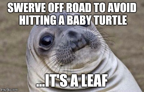 Awkward Moment Sealion Meme | SWERVE OFF ROAD TO AVOID HITTING A BABY TURTLE ...IT'S A LEAF | image tagged in memes,awkward moment sealion,AdviceAnimals | made w/ Imgflip meme maker