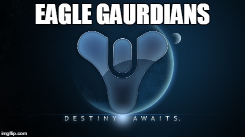 EAGLE GAURDIANS | image tagged in eagles | made w/ Imgflip meme maker