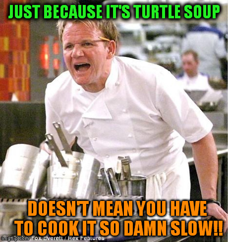Chef Gordon Ramsay Meme | JUST BECAUSE IT'S TURTLE SOUP DOESN'T MEAN YOU HAVE TO COOK IT SO DAMN SLOW!! | image tagged in memes,chef gordon ramsay | made w/ Imgflip meme maker