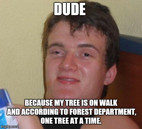 10 Guy Meme | DUDE BECAUSE MY TREE IS ON WALK AND ACCORDING TO FOREST DEPARTMENT, ONE TREE AT A TIME. | image tagged in memes,10 guy | made w/ Imgflip meme maker