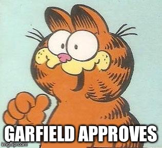 Garfield Thumbs Up | GARFIELD APPROVES | image tagged in garfield thumbs up,garfield,funny,memes,approves,awesome | made w/ Imgflip meme maker