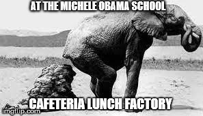 Elephant Poopy | AT THE MICHELE OBAMA SCHOOL CAFETERIA LUNCH FACTORY | image tagged in elephant poopy | made w/ Imgflip meme maker