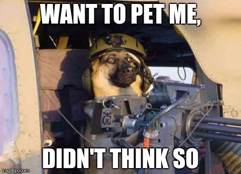 WANT TO PET ME, DIDN'T THINK SO | image tagged in death dog | made w/ Imgflip meme maker