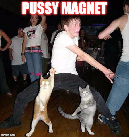 Pussy Cat Magnet | PUSSY MAGNET | image tagged in cats dancing,cats,cat,pussy,dancing,funny cats | made w/ Imgflip meme maker