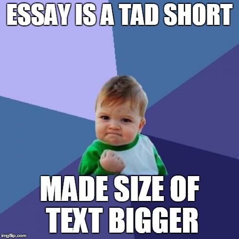 Success Kid | ESSAY IS A TAD SHORT MADE SIZE OF TEXT BIGGER | image tagged in memes,success kid | made w/ Imgflip meme maker