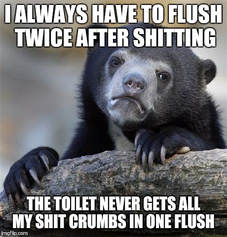 Confession Bear | I ALWAYS HAVE TO FLUSH TWICE AFTER SHITTING THE TOILET NEVER GETS ALL MY SHIT CRUMBS IN ONE FLUSH | image tagged in memes,confession bear | made w/ Imgflip meme maker