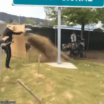 Getting Dirty! | image tagged in gifs,dirt,burnout,ducati,terrastrada,terracorsa | made w/ Imgflip video-to-gif maker