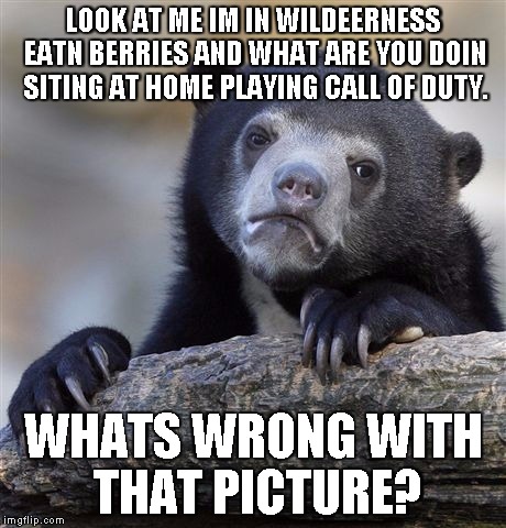 Confession Bear Meme | LOOK AT ME IM IN WILDEERNESS EATN BERRIES AND WHAT ARE YOU DOIN SITING AT HOME PLAYING CALL OF DUTY. WHATS WRONG WITH THAT PICTURE? | image tagged in memes,confession bear | made w/ Imgflip meme maker