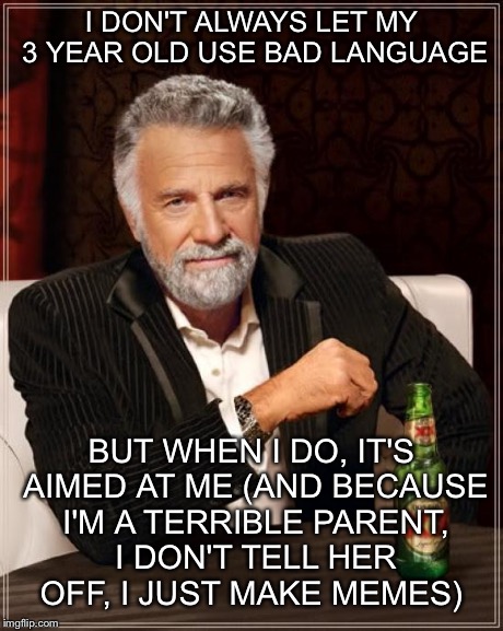 The Most Interesting Man In The World Meme | I DON'T ALWAYS LET MY 3 YEAR OLD USE BAD LANGUAGE BUT WHEN I DO, IT'S AIMED AT ME (AND BECAUSE I'M A TERRIBLE PARENT, I DON'T TELL HER OFF,  | image tagged in memes,the most interesting man in the world | made w/ Imgflip meme maker