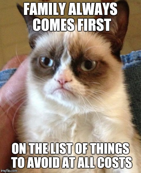 Grumpy Cat Meme | FAMILY ALWAYS COMES FIRST ON THE LIST OF THINGS TO AVOID AT ALL COSTS | image tagged in memes,grumpy cat | made w/ Imgflip meme maker