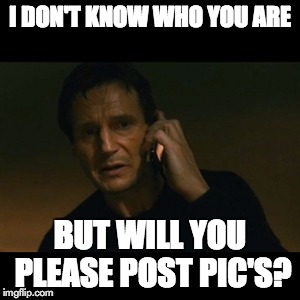 Liam Neeson Taken Meme | I DON'T KNOW WHO YOU ARE BUT WILL YOU PLEASE POST PIC'S? | image tagged in memes,liam neeson taken | made w/ Imgflip meme maker