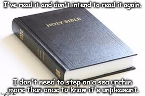 Da Buybull | I've read it and don't intend to read it again. I don't need to step on a sea urchin more than once to know it's unpleasant. | image tagged in da buybull,god,jesus,religion,bible | made w/ Imgflip meme maker