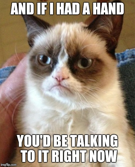 Grumpy Cat Meme | AND IF I HAD A HAND YOU'D BE TALKING TO IT RIGHT NOW | image tagged in memes,grumpy cat | made w/ Imgflip meme maker