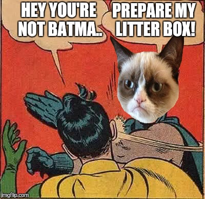 Batman Slapping Robin | HEY YOU'RE NOT BATMA.. PREPARE MY LITTER BOX! | image tagged in memes,batman slapping robin,grumpy cat | made w/ Imgflip meme maker