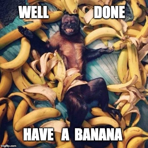 SARCASTIC SUCCESS MONKEY | WELL                 DONE HAVE   A  BANANA | image tagged in slow clap,sarcasm,fail | made w/ Imgflip meme maker