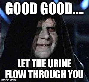 Good Good | GOOD GOOD.... LET THE URINE FLOW THROUGH YOU | image tagged in good good | made w/ Imgflip meme maker