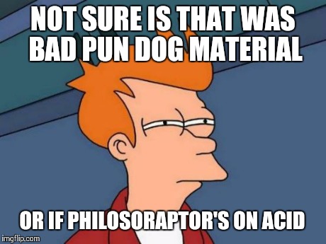 Futurama Fry | NOT SURE IS THAT WAS BAD PUN DOG MATERIAL OR IF PHILOSORAPTOR'S ON ACID | image tagged in memes,futurama fry | made w/ Imgflip meme maker