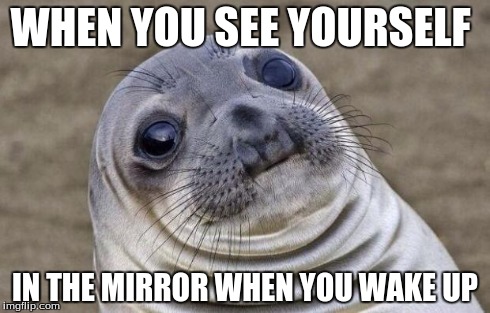 Awkward Moment Sealion | WHEN YOU SEE YOURSELF IN THE MIRROR WHEN YOU WAKE UP | image tagged in memes,awkward moment sealion | made w/ Imgflip meme maker
