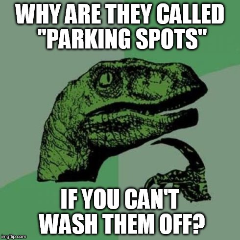 Philosoraptor | WHY ARE THEY CALLED "PARKING SPOTS" IF YOU CAN'T WASH THEM OFF? | image tagged in memes,philosoraptor | made w/ Imgflip meme maker