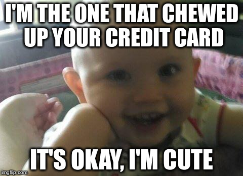 I'M THE ONE THAT CHEWED UP YOUR CREDIT CARD IT'S OKAY, I'M CUTE | image tagged in it's okay,i'm cute | made w/ Imgflip meme maker