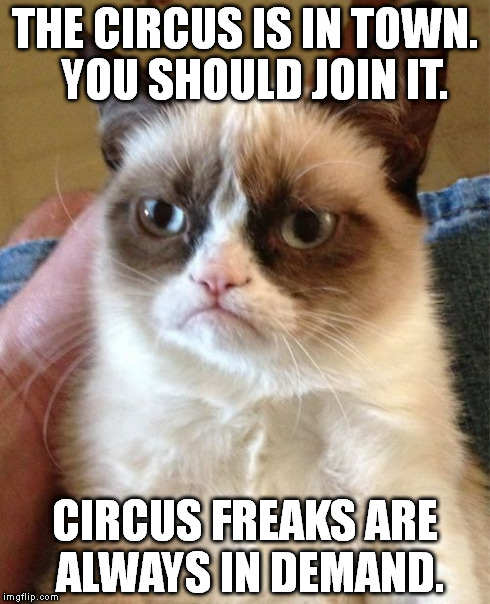 Grumpy Cat | THE CIRCUS IS IN TOWN.  YOU SHOULD JOIN IT. CIRCUS FREAKS ARE ALWAYS IN DEMAND. | image tagged in memes,grumpy cat | made w/ Imgflip meme maker