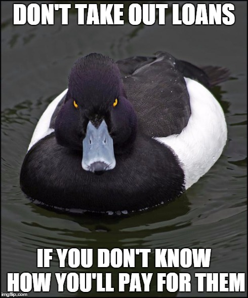 Angry duck | DON'T TAKE OUT LOANS IF YOU DON'T KNOW HOW YOU'LL PAY FOR THEM | image tagged in angry duck | made w/ Imgflip meme maker