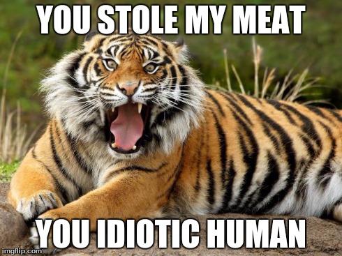 YOU STOLE MY MEAT YOU IDIOTIC HUMAN | image tagged in say what | made w/ Imgflip meme maker