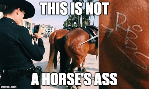 The horse's ass is the guy who did the tagging | THIS IS NOT A HORSE'S ASS | image tagged in memes,original meme | made w/ Imgflip meme maker