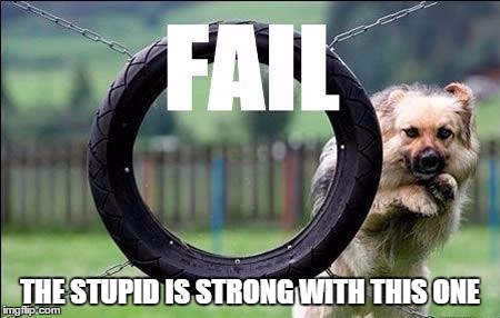 Epic | THE STUPID IS STRONG WITH THIS ONE | image tagged in fail | made w/ Imgflip meme maker