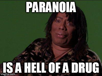 PARANOIA IS A HELL OF A DRUG | made w/ Imgflip meme maker