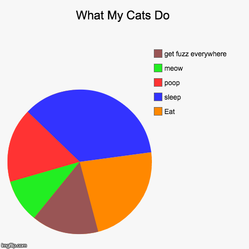 image tagged in funny,pie charts | made w/ Imgflip chart maker